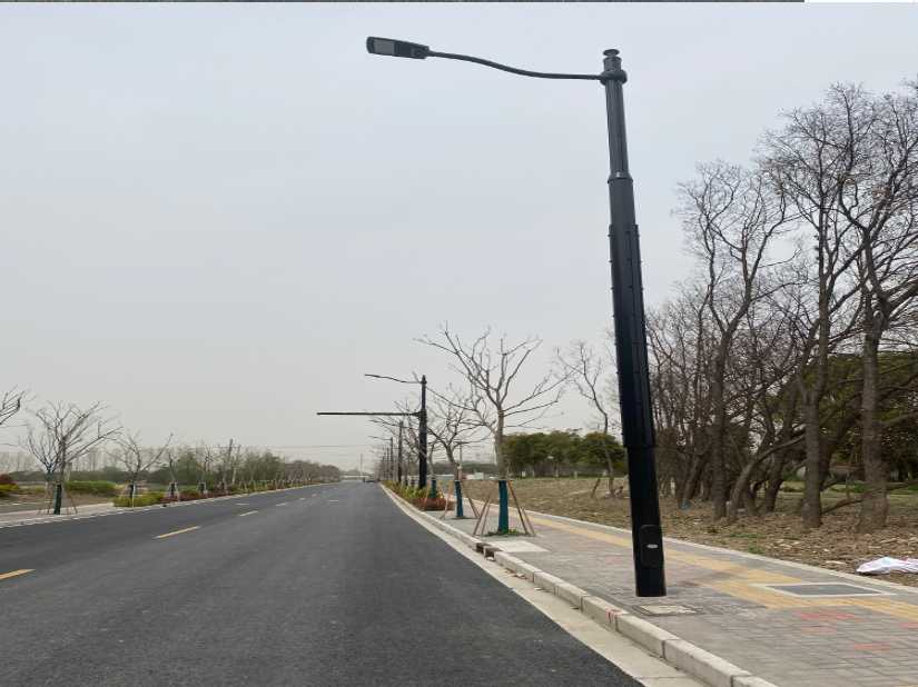武都区上海综合杆 太阳能路灯工程